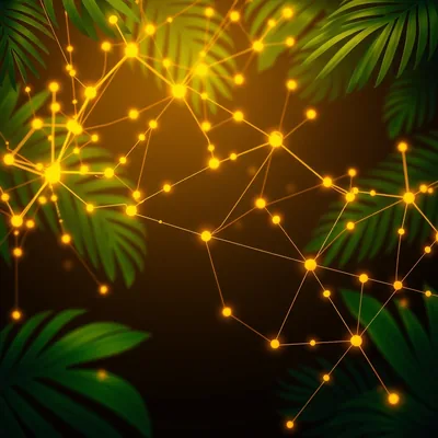 Aplicativo EvolveCasino